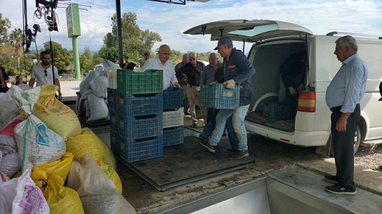 Manavgat Ziraat Odası'ndan Zeytin üreticisine büyük katkı!