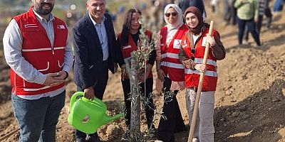 Anahtar parti’de Dikmen’de ağaç dikti