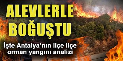   Antalya’nın Orman yangınlarıyla imtihanı !