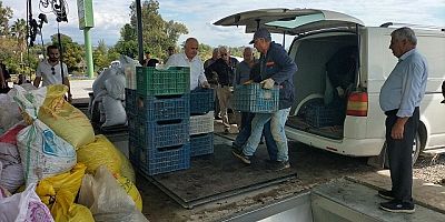  Manavgat Ziraat Odası'ndan Zeytin üreticisine büyük katkı!
