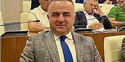 MHP'li Tatar, sivrisinek sorununu Muhittin Böcek’e anlattı ! 